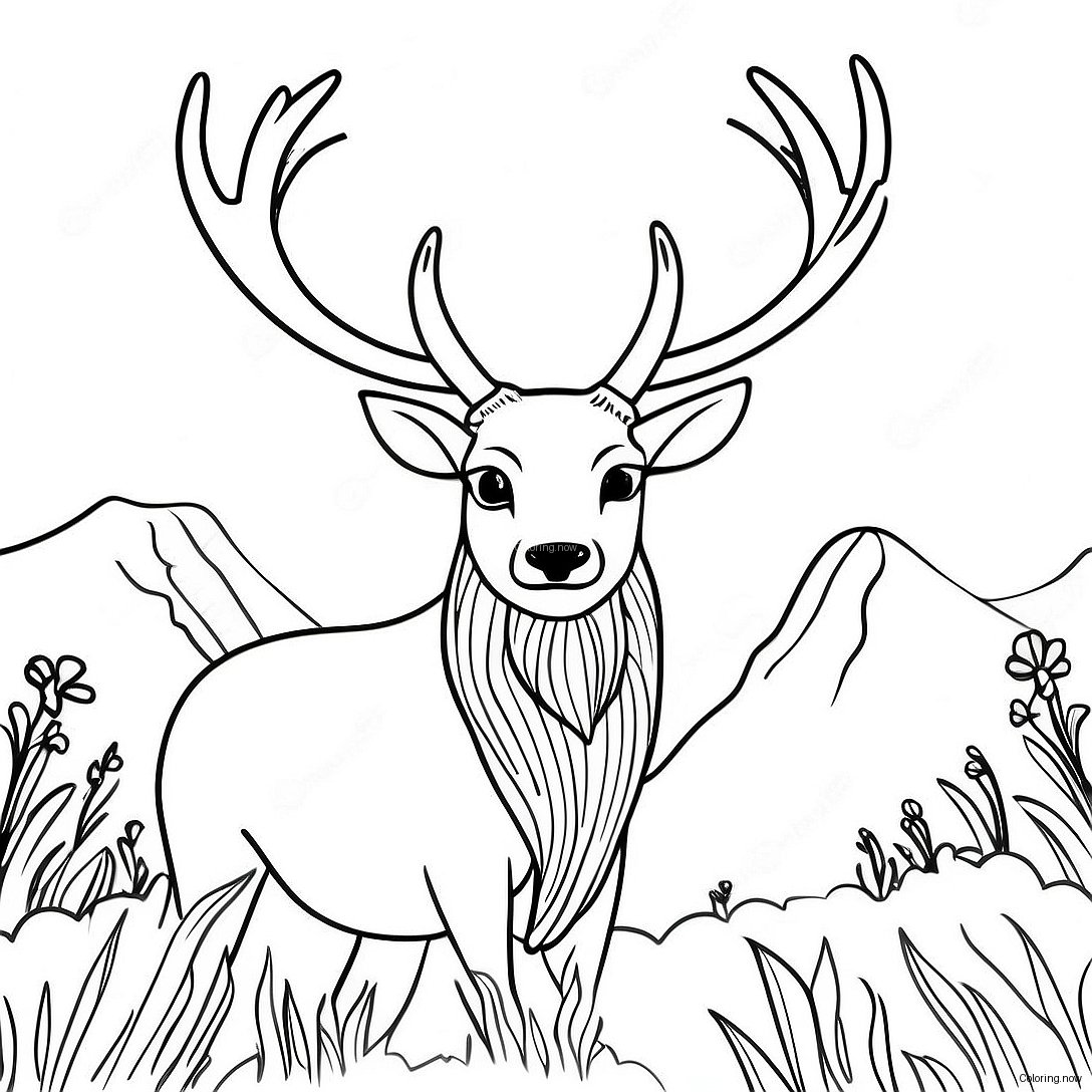 Majestic Stag With Antlers Coloring Page 51474 41090