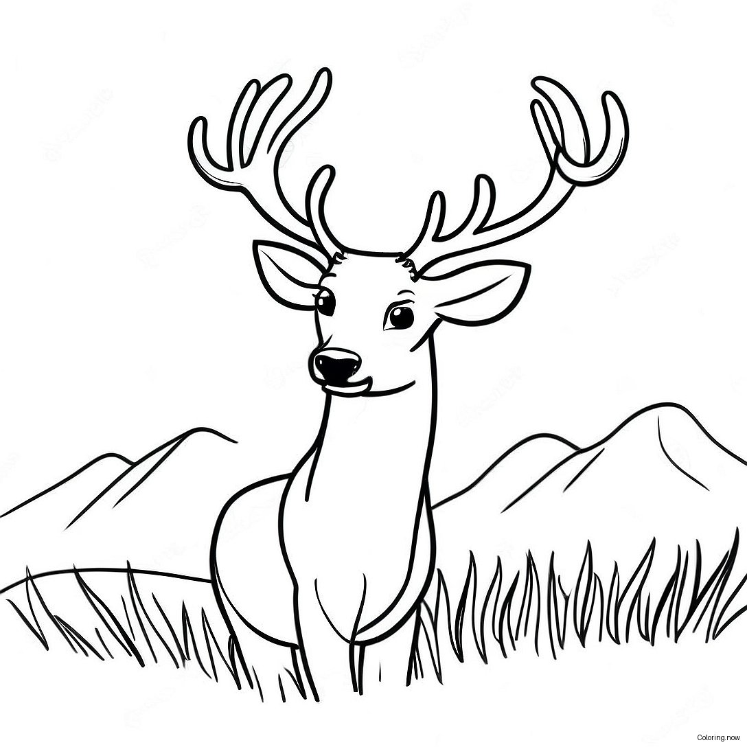 Majestic Stag With Antlers Coloring Page 51474 41091