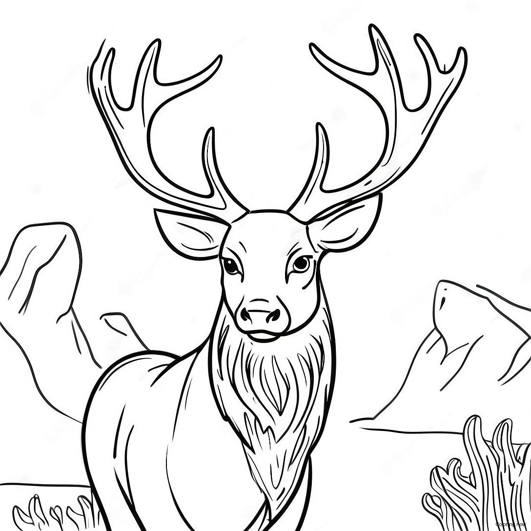Majestic Stag With Antlers Coloring Page 51474 41092