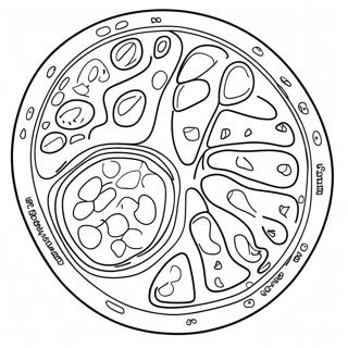 Plant Cell Structure Coloring Page 10746-8754