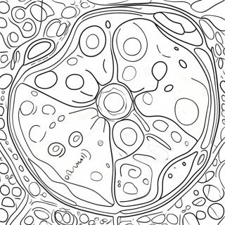 Plant Cell Structure Coloring Page 10746-8755