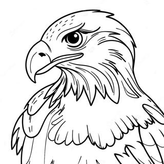 Hawk Coloring Pages