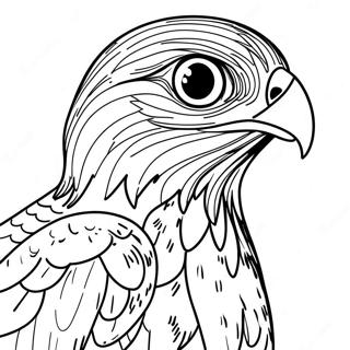 Hawk Coloring Page 10816-8803