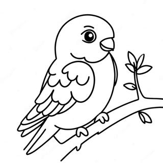 Parakeet Coloring Page 10866-8840