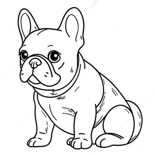 Frenchie Coloring Pages