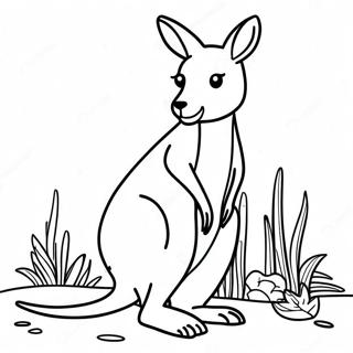 Kangaroo Coloring Page 12766-10346