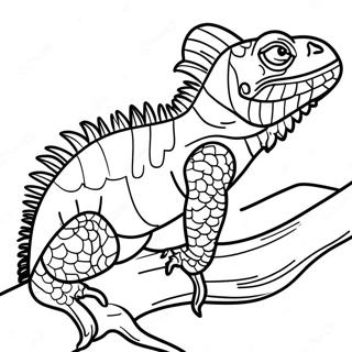 Iguana Coloring Page 13546-10954