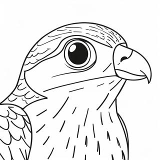 Peregrine Falcon Coloring Page 13716-11093