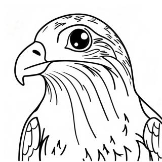 Peregrine Falcon Coloring Page 13716-11095