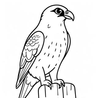 Peregrine Falcon Coloring Page 13716-11096