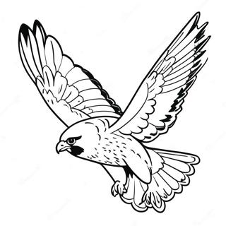 Peregrine Falcon Coloring Pages