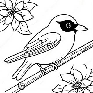 Orioles Coloring Pages