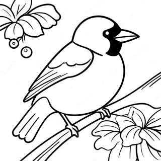 Orioles Coloring Page 13776-11158