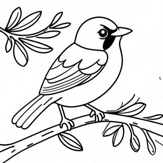 Orioles Coloring Page 13776-11159