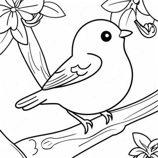 Orioles Coloring Page 13776-11160