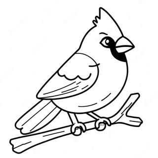 Cardinal Bird Coloring Page 13876-11216