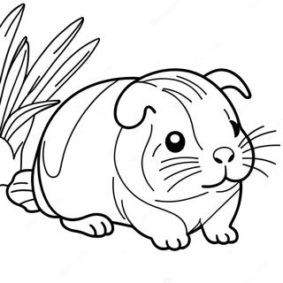 Guinea Pig Coloring Pages