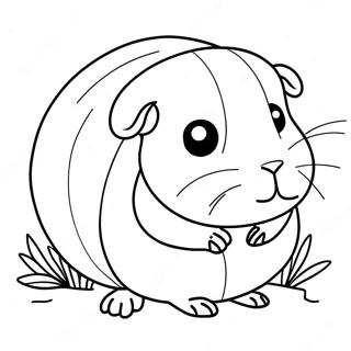 Guinea Pig Coloring Page 1421-1179