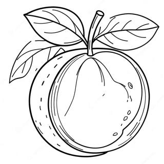 Orange Coloring Pages