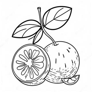 Orange Fruit Coloring Page 14399-11627