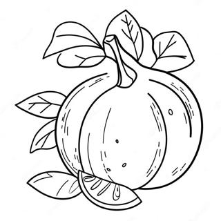 Orange Fruit Coloring Page 14399-11628