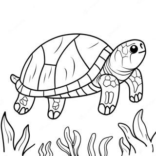 Sea Turtle Coloring Page 14579-11775