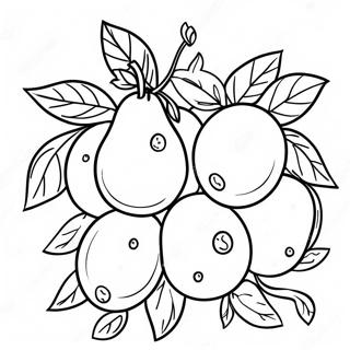 Colorful Tu Bishvat Fruit Coloring Page 14830-11978