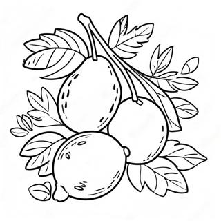 Colorful Tu Bishvat Fruit Coloring Page 14830-11980