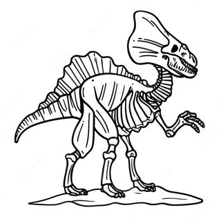 Fossil Dinosaur Skeleton Coloring Page 14999-12108