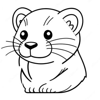 Ferret Coloring Pages