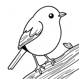 Robin Coloring Page 16239-13098