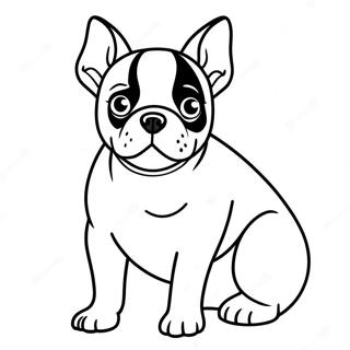 Boston Terrier Puppy Coloring Page 16339-13173