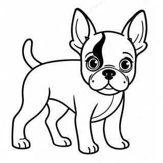 Playful Boston Terrier Coloring Page 16340-13180