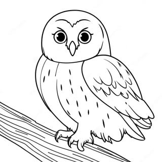 Hedwig Coloring Pages