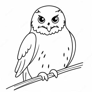 Hedwig Coloring Page 16429-13244