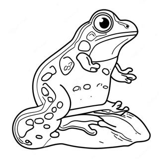 Amphibian Coloring Page 16529-13324