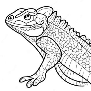 Bearded Dragon Coloring Page 16549-13342