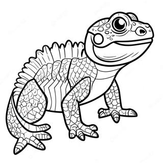 Colorful Bearded Dragon Coloring Page 16550-13347