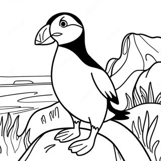 Puffin Rock Coloring Page 16569-13360