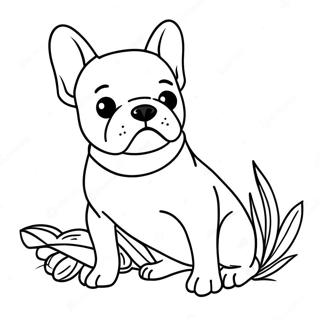 French Bulldog Coloring Page 1661-1373