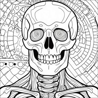 Anatomy And Physiology Coloring Pages