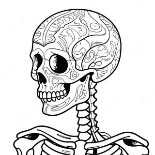 Detailed Human Skeleton Coloring Page 17090-13777