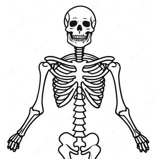 Detailed Human Skeleton Coloring Page 17090-13778