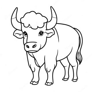 Buffalo Coloring Pages