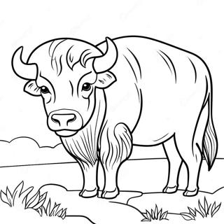 Buffalo Coloring Page 17169-13839