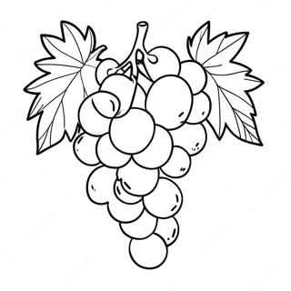 Grape Coloring Page 17229-13886