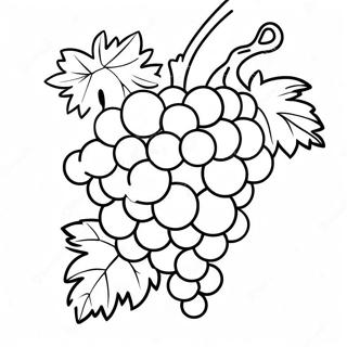 Grape Coloring Page 17229-13888