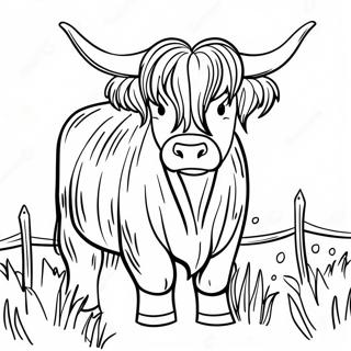 Highland Cow Coloring Pages