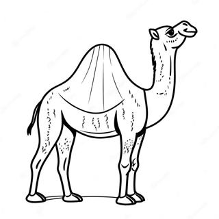 Camel Coloring Page 17639-14209