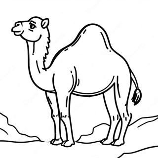 Camel Coloring Page 17639-14211